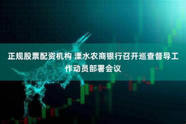 正规股票配资机构 溧水农商银行召开巡查督导工作动员部署会议